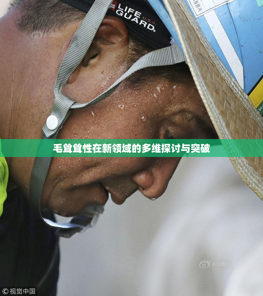 毛耸耸性在新领域的多维探讨与突破
