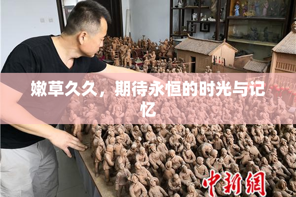 嫩草久久，期待永恒的时光与记忆