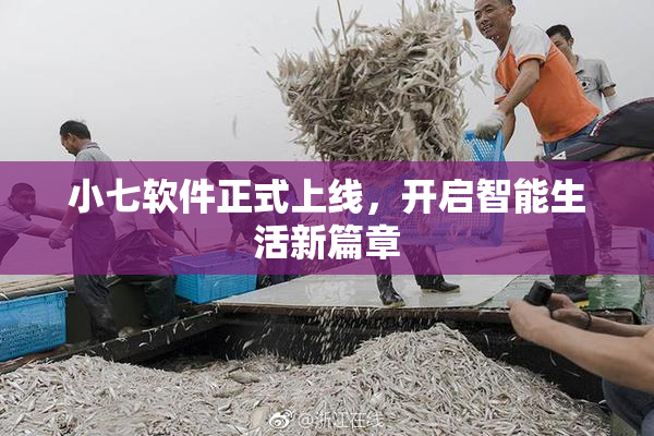 小七软件正式上线，开启智能生活新篇章