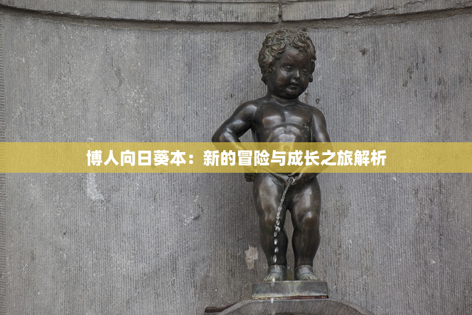 博人向日葵本：新的冒险与成长之旅解析