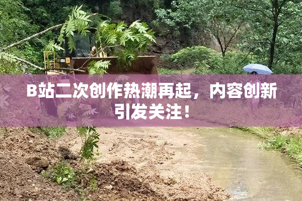 B站二次创作热潮再起，内容创新引发关注！