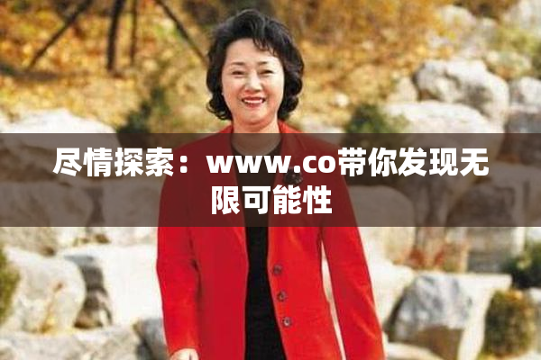 尽情探索：www.co带你发现无限可能性