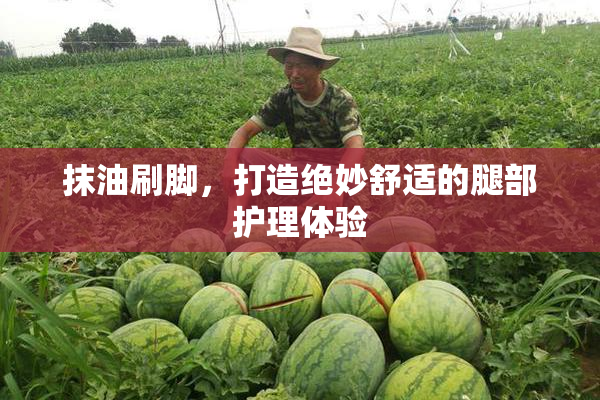 抹油刷脚，打造绝妙舒适的腿部护理体验