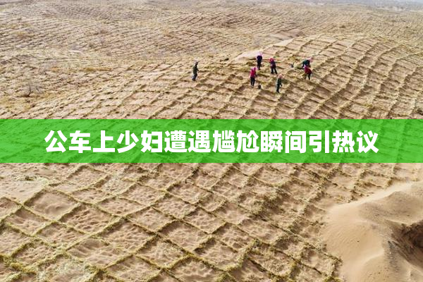 公车上少妇遭遇尴尬瞬间引热议