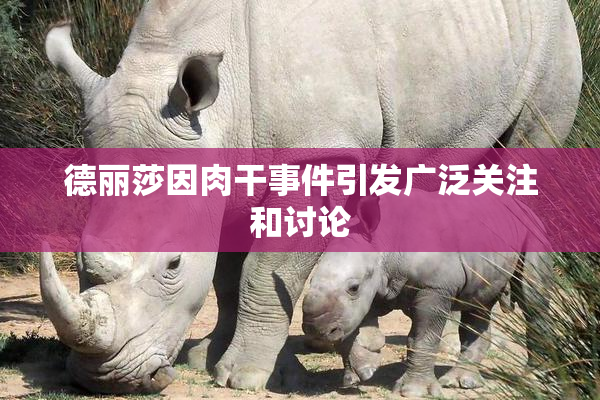 德丽莎因肉干事件引发广泛关注和讨论