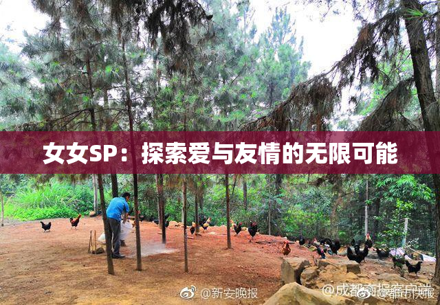 女女SP：探索爱与友情的无限可能