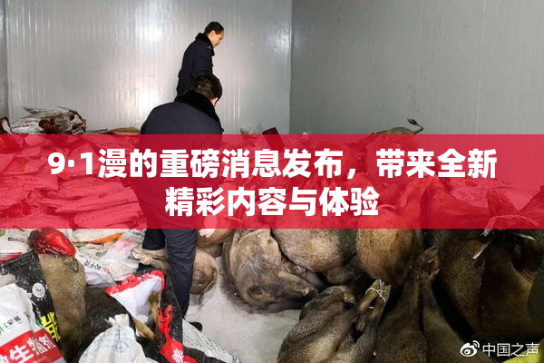 9·1漫的重磅消息发布，带来全新精彩内容与体验