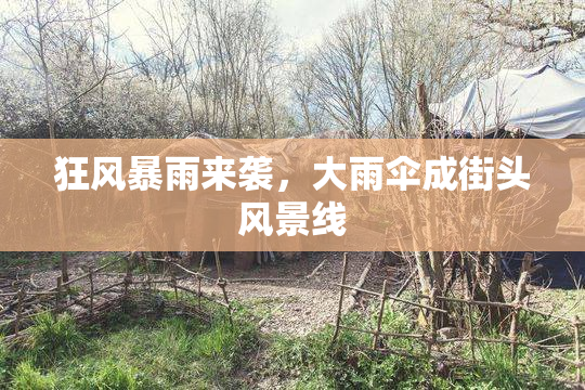 狂风暴雨来袭，大雨伞成街头风景线