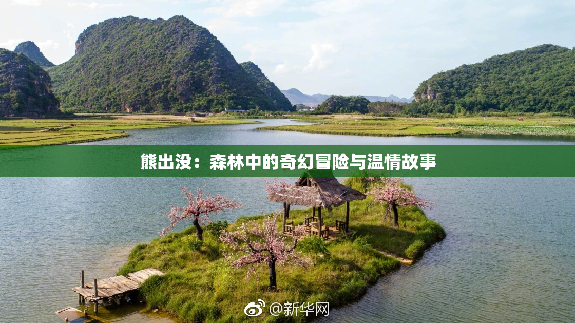 熊出没：森林中的奇幻冒险与温情故事