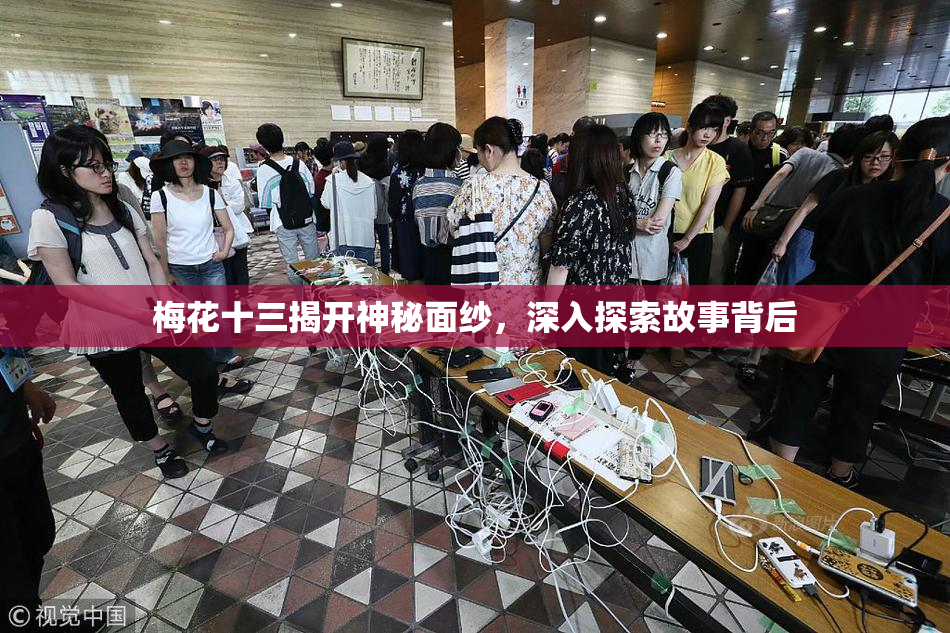 梅花十三揭开神秘面纱，深入探索故事背后