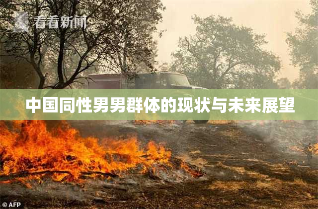 中国同性男男群体的现状与未来展望