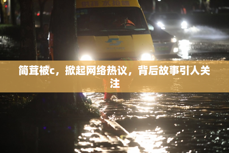 简茸被c，掀起网络热议，背后故事引人关注