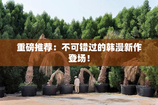 重磅推荐：不可错过的韩漫新作登场！
