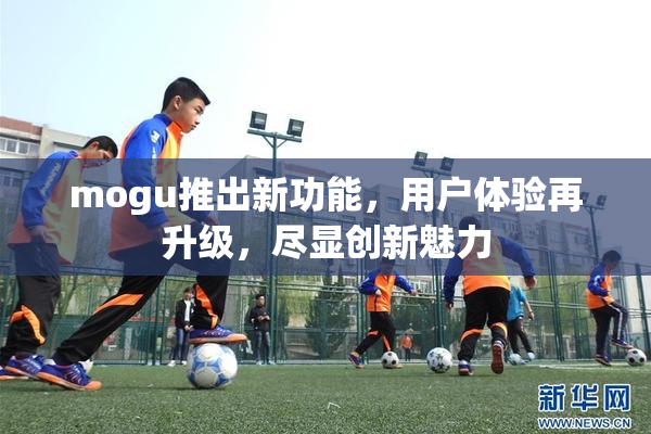 mogu推出新功能，用户体验再升级，尽显创新魅力