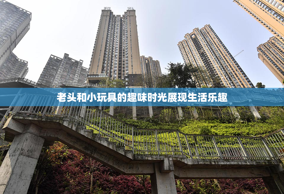 老头和小玩具的趣味时光展现生活乐趣