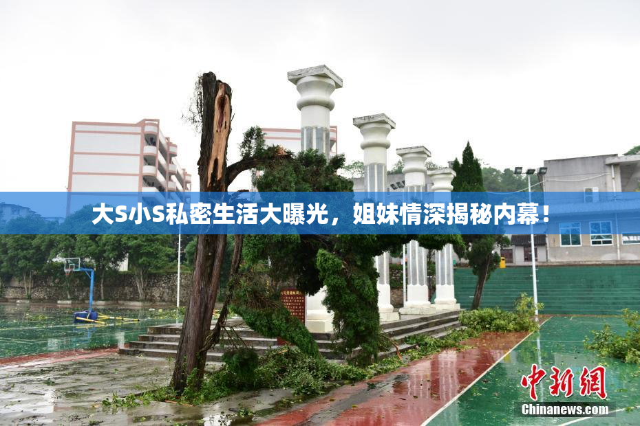 大S小S私密生活大曝光，姐妹情深揭秘内幕！