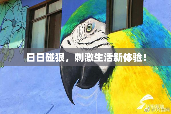 日日碰狠，刺激生活新体验！