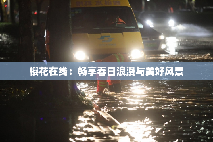 樱花在线：畅享春日浪漫与美好风景