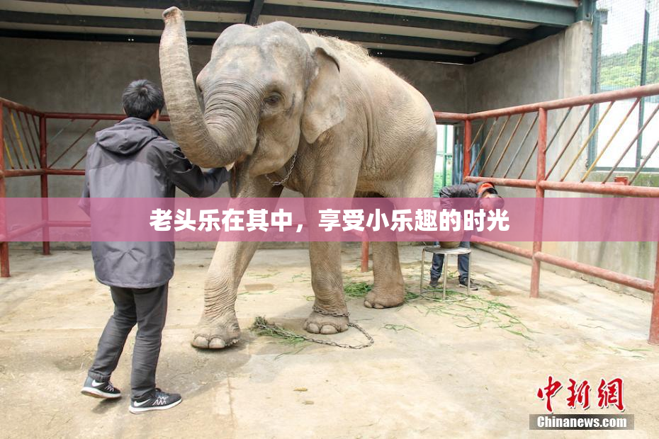 老头乐在其中，享受小乐趣的时光