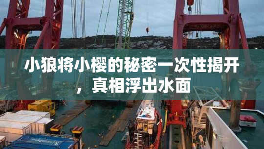 小狼将小樱的秘密一次性揭开，真相浮出水面