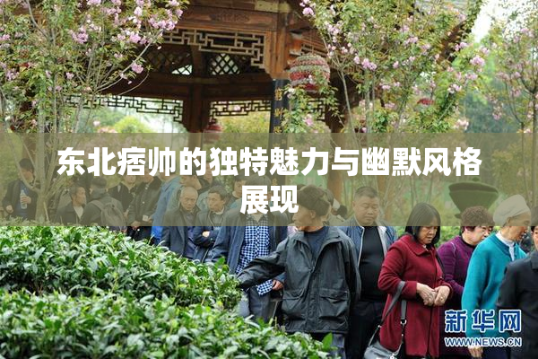 东北痞帅的独特魅力与幽默风格展现