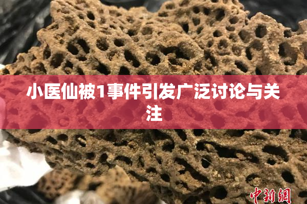 小医仙被1事件引发广泛讨论与关注