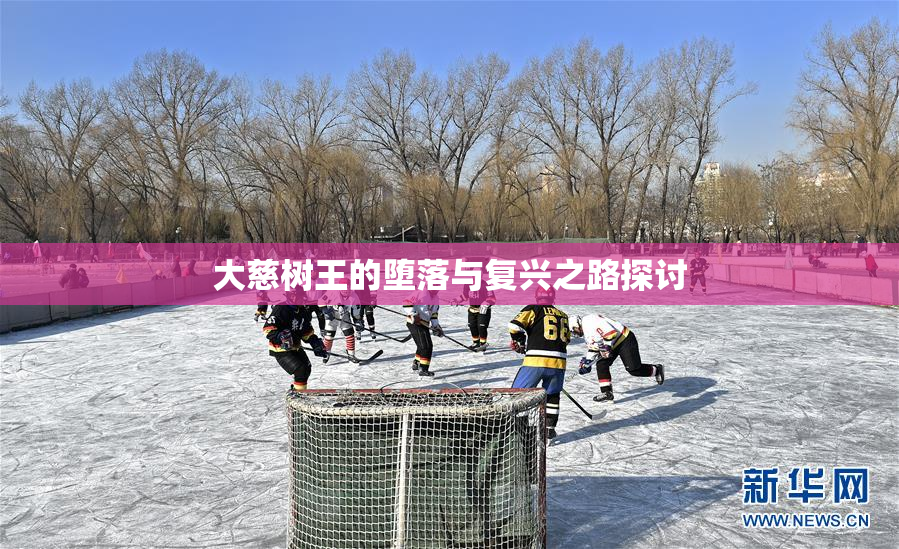 大慈树王的堕落与复兴之路探讨