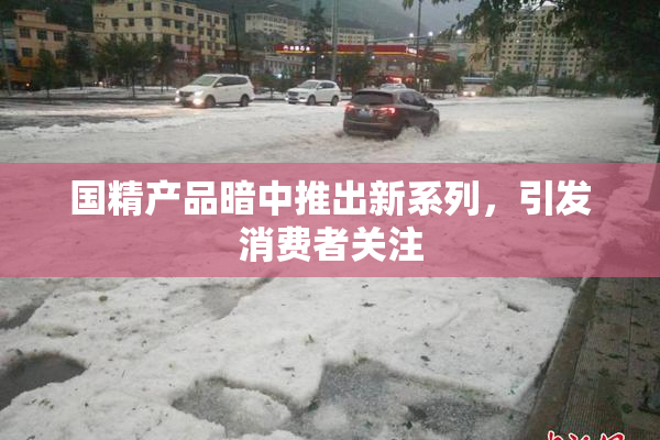 国精产品暗中推出新系列，引发消费者关注
