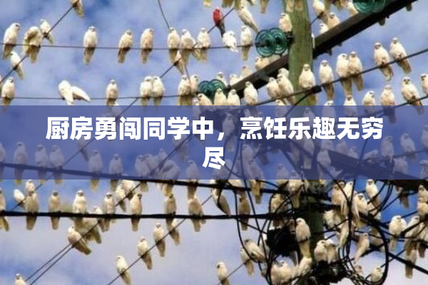 厨房勇闯同学中，烹饪乐趣无穷尽