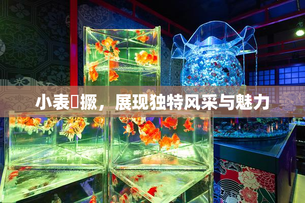 小表妺撅，展现独特风采与魅力