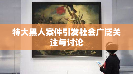 特大黑人案件引发社会广泛关注与讨论