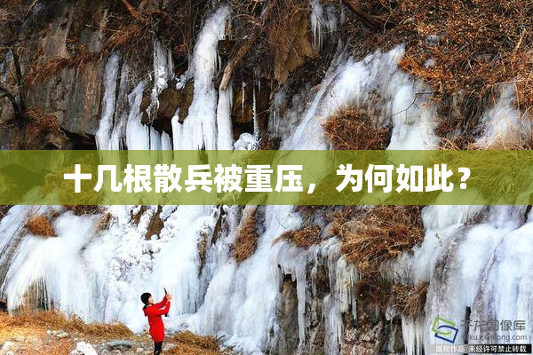 十几根散兵被重压，为何如此？