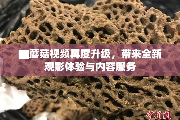 ▇蘑菇视频再度升级，带来全新观影体验与内容服务