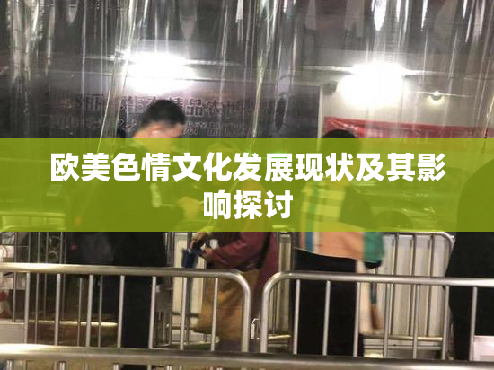欧美色情文化发展现状及其影响探讨