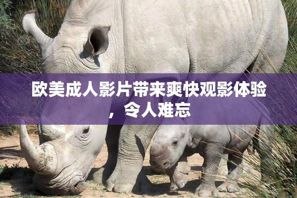 欧美成人影片带来爽快观影体验，令人难忘