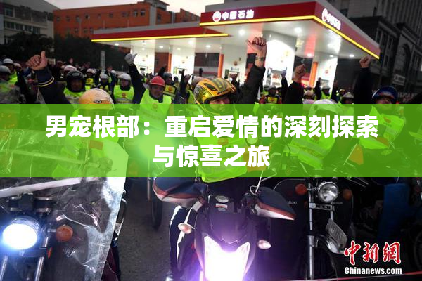 男宠根部：重启爱情的深刻探索与惊喜之旅