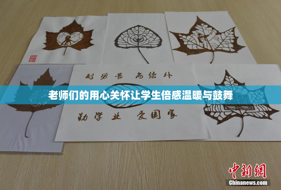 老师们的用心关怀让学生倍感温暖与鼓舞