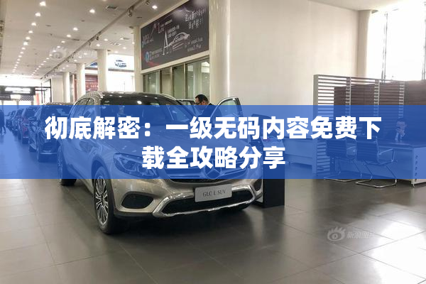 彻底解密：一级无码内容免费下载全攻略分享
