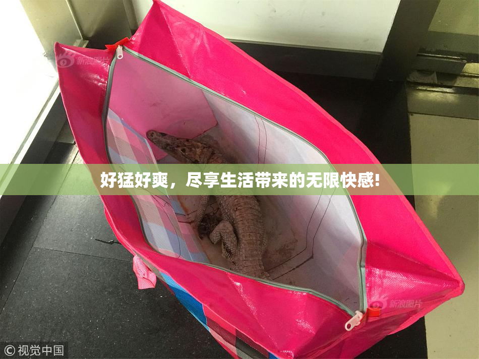 好猛好爽，尽享生活带来的无限快感!