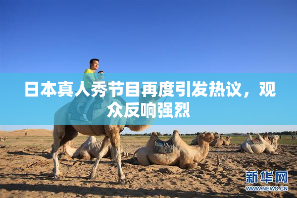 日本真人秀节目再度引发热议，观众反响强烈
