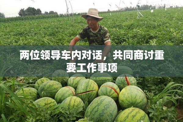 两位领导车内对话，共同商讨重要工作事项