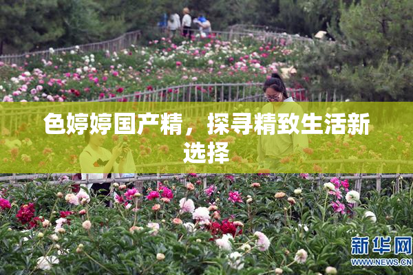 色婷婷国产精，探寻精致生活新选择