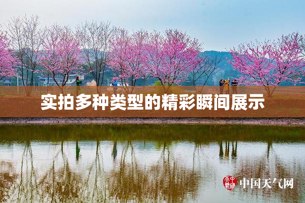 实拍多种类型的精彩瞬间展示