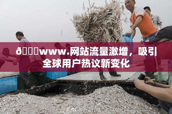 🔞www.网站流量激增，吸引全球用户热议新变化