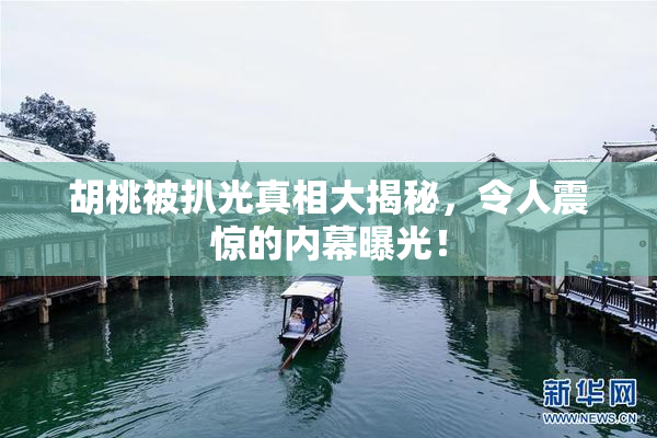 胡桃被扒光真相大揭秘，令人震惊的内幕曝光！
