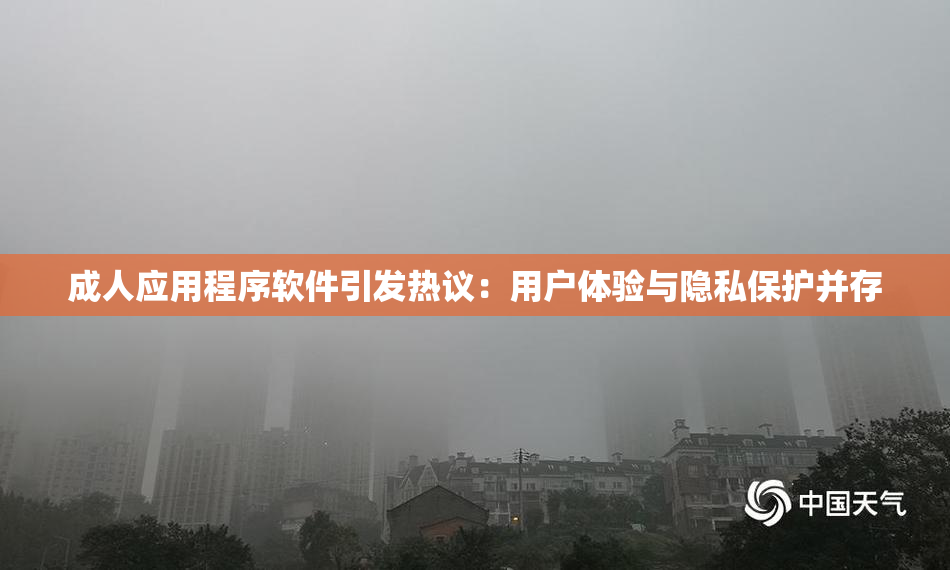 成人应用程序软件引发热议：用户体验与隐私保护并存