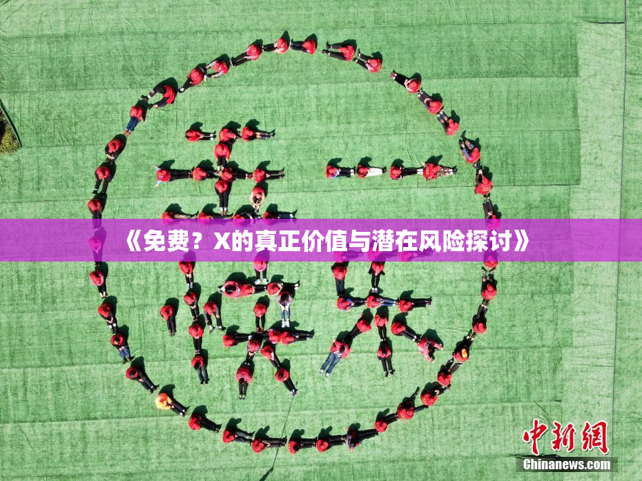 《免费？X的真正价值与潜在风险探讨》