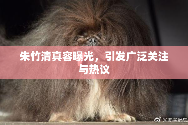 朱竹清真容曝光，引发广泛关注与热议