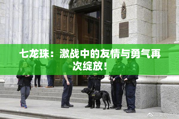 七龙珠：激战中的友情与勇气再次绽放！