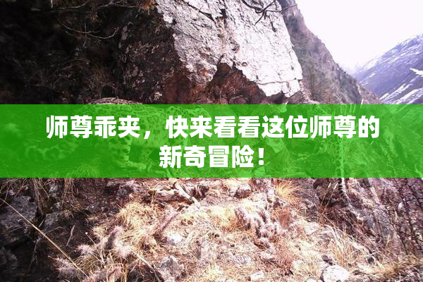 师尊乖夹，快来看看这位师尊的新奇冒险！